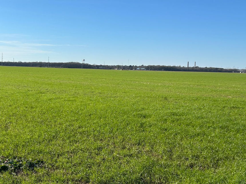 Louisiana - Seed and Mulch